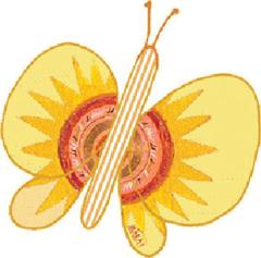 Papilio Logo